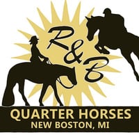 R&B Quarter Horses