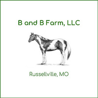 Local Business B and B Farm, LLC in Russellville MO