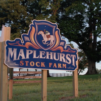 Local Business Maplehurst Stock Farm in Paris KY