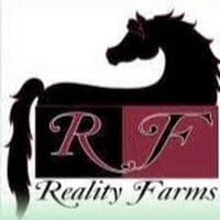 Reality Farms Equine Center