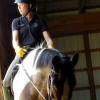 Every Stride Dressage, LLC & Rapid Field Therapy