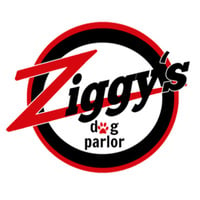 Local Business Ziggy's Dog Villa in Mt Pleasant SC