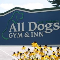 All Dogs Gym & Inn