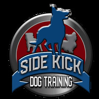 Springfield Side Kick Dog Training, Boarding, Daycare & Grooming