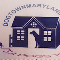 DogtownMaryland