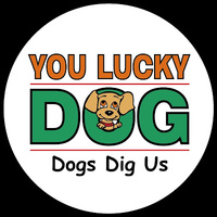 Local Business You Lucky Dog Pet Resort in Houston TX