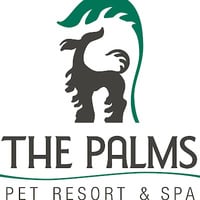 Local Business The Palms Pet Resort & Spa in Helotes TX