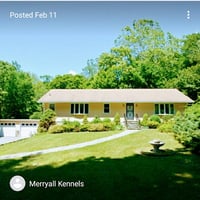 Merryall Kennels