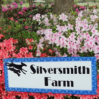 Silversmith Farm Boarding Kennel, LLC