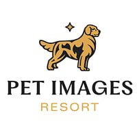 Local Business Pet Images Resort in Lake Elmo MN