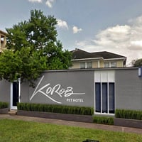 Local Business Korob Pet Hotel in Houston TX