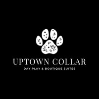 Uptown Collar