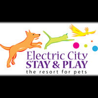 Electric City Stay and Play