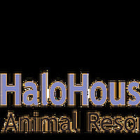 Halo House Animal Resort