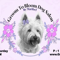 Local Business Groom To Bloom Dog Salon in Stamford CT