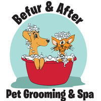 Befur and After Pet Grooming