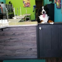 Local Business The Pet Spa in Eagan MN