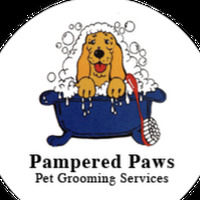 Pampered Paws Pet Grooming