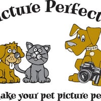 A Picture Perfect Pet Grooming