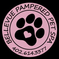 Local Business Bellevue Pampered Pet Spa in Bellevue NE