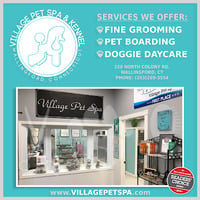 Local Business Village Pet Spa & Kennel in Wallingford CT