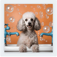 Pupazzo Dog Grooming Xprss & Pet Supplies