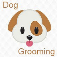 Modern Pooch Dog Washing and Grooming LLC