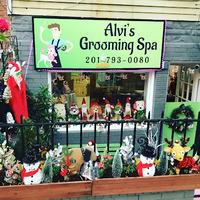 Alvi’s Grooming spa