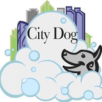 City Dog