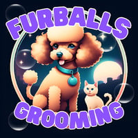 Furballs Grooming