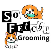 Local Business So Fetch! Grooming in Casa Grande AZ