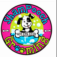 Local Business Shampooch in Mystic Island NJ