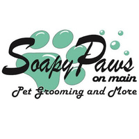 Local Business Soapy Paws in Hartford WI