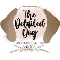 Local Business The Detailed Dog in Guilderland NY