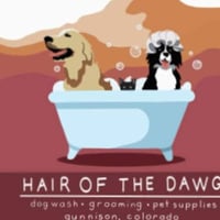 Hair of the Dawg