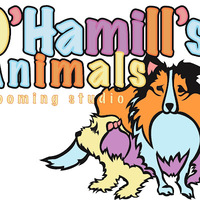 Local Business O'Hamill's Animals in Harrisburg PA