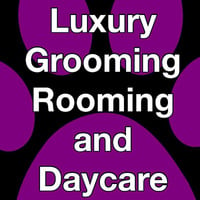 Luxury Grooming Rooming and Daycare