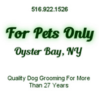 Local Business For Pets Only in Oyster Bay NY