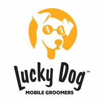 Local Business Lucky Dog Mobile Groomers in Stamford CT