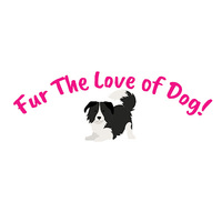 Local Business Fur The Love of Dog! in Delaware OH