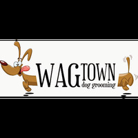 Local Business Wag Town Dog Grooming in Glenville NY