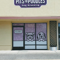 Local Business Pits to Poodles Dog Grooming in Eugene OR