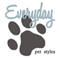 Everyday Pet Styles