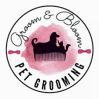 Local Business Groom & Bloom Pet Grooming in San Antonio TX