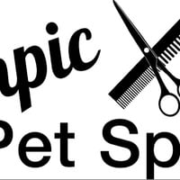 Local Business Olympic Pet Spa in Lacey WA