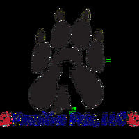 Pawsitive Pets, LLC