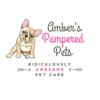 Local Business Amber's Pampered Pets in South Bend IN