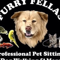 Furry Fellas Dog Walking & Pet Sitting Service