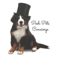 Local Business Posh Pets Concierge in Ladera Ranch CA