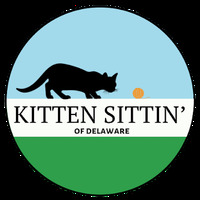 Kitten Sittin' of Delaware